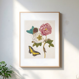 Póster Flor de peonía rosa vintage, ilustración floral
