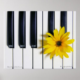 Póster Flor de piano