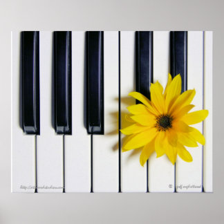 Póster Flor de piano