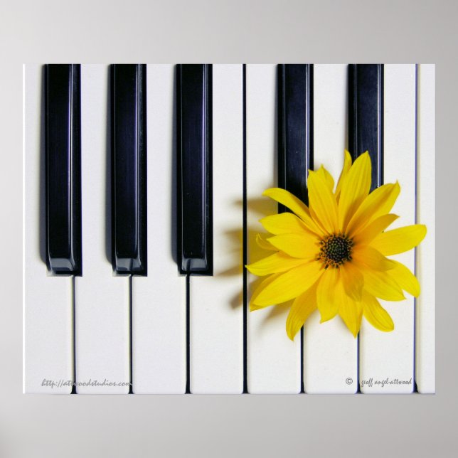 Póster Flor de piano (Frente)
