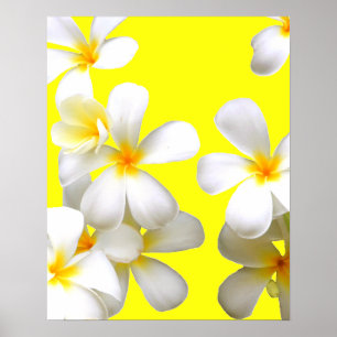 Póster Flor de plumeria blanca hawaiana amarillo