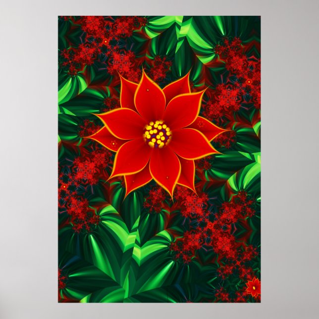 Póster Flor de Poinsettia (Frente)