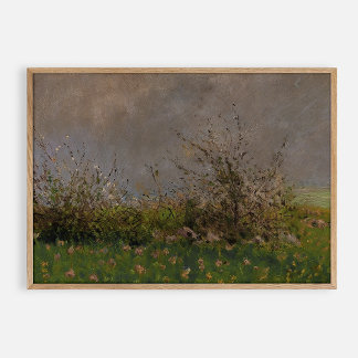 Póster Flor de pradera, cosecha de aceite