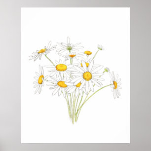 Póster flor de ramo margarita blanca acuarela