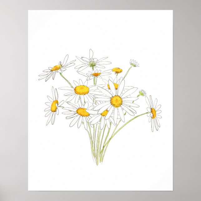 Póster flor de ramo margarita blanca acuarela (Frente)