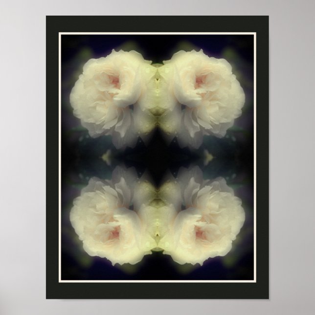 Póster Flor de Rosa Blanca en Flor Abstracta (Frente)