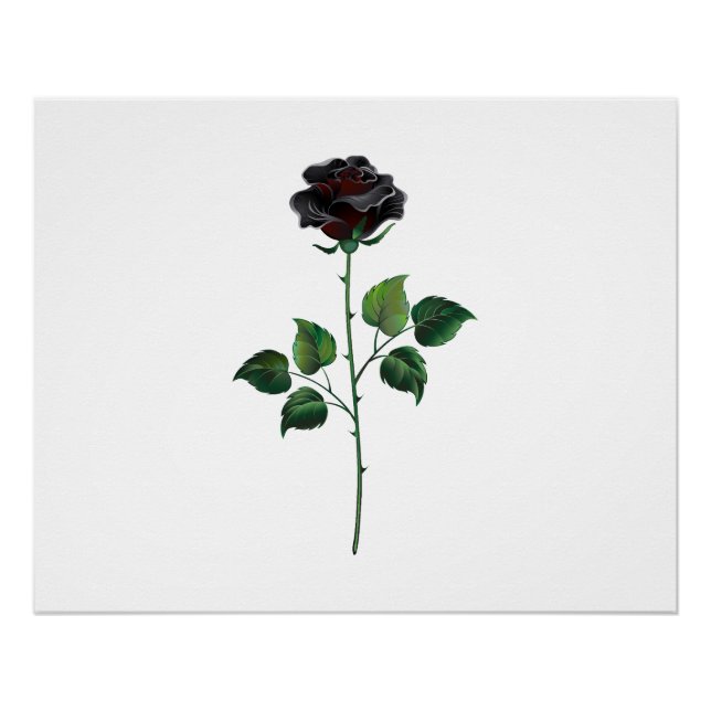 Póster Flor de rosa negra (Anverso)