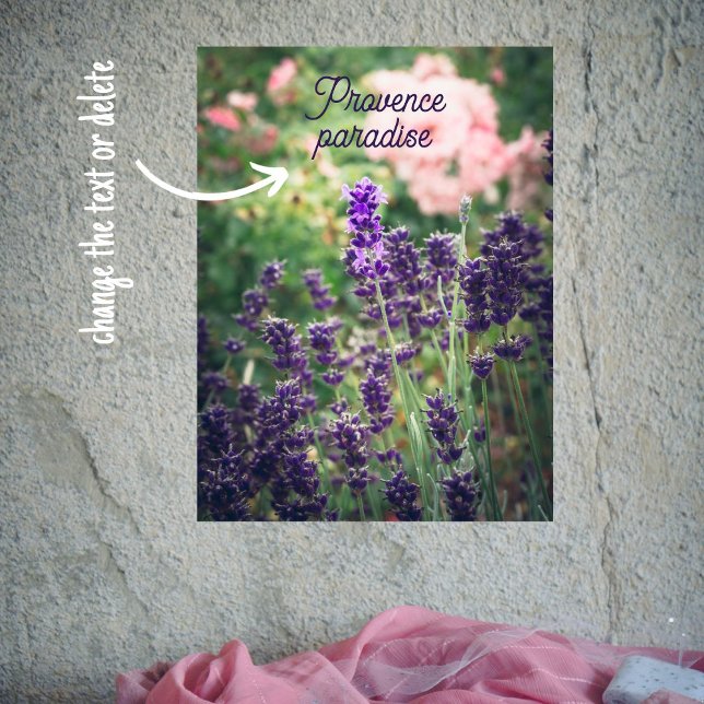 Póster Flor de Rosa y lavanda en el jardín de la Provenza (Subido por el creador)