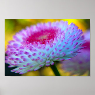 Póster Flor de sangre