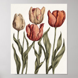 Póster Flor de tulipán