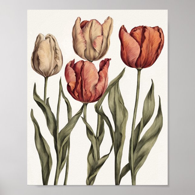 Póster Flor de tulipán (Frente)