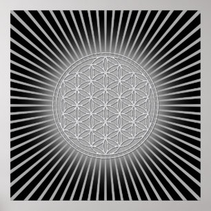 Póster Flor de vida / Blume des Lebens - blanco