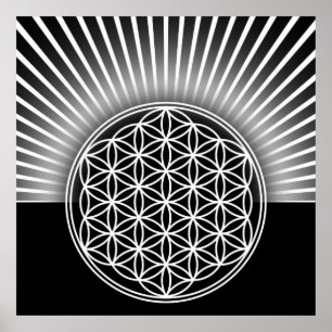 Póster Flor de vida / Blume des Lebens - blanco plano