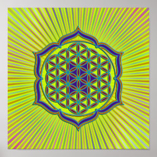 Póster Flor de vida / Blume des Lebens - Lotus Contour