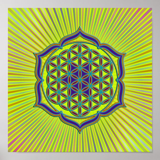Póster Flor de vida / Blume des Lebens - Lotus Contour (Frente)