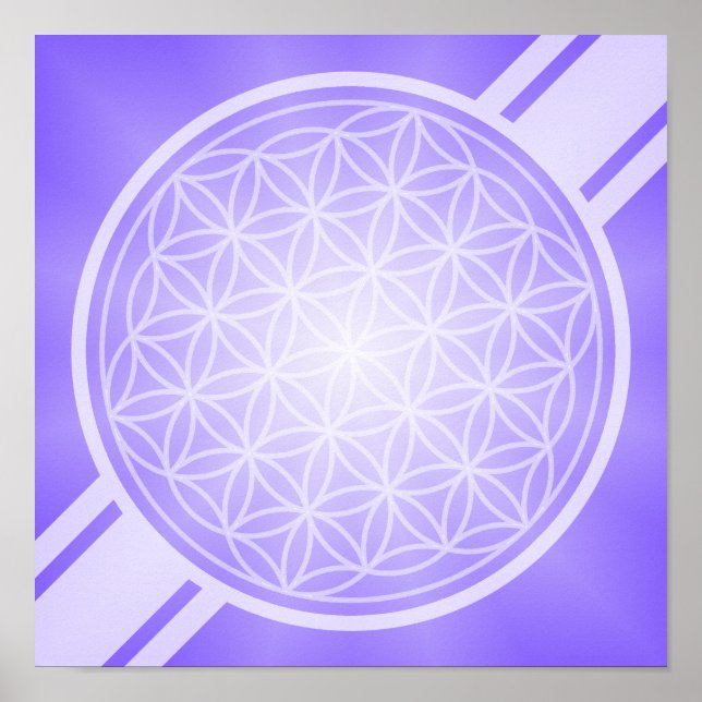 Póster Flor de vida / Blume des Lebens - transpa blanca. (Frente)