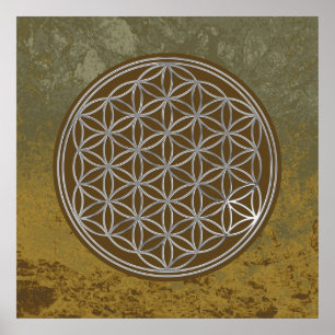 Póster Flor de vida / Blume des Lebes - PLATA
