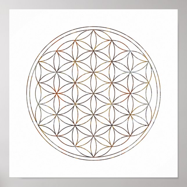 Póster Flor De Vida De Geometría Sagrada (V-Elementos) (Frente)