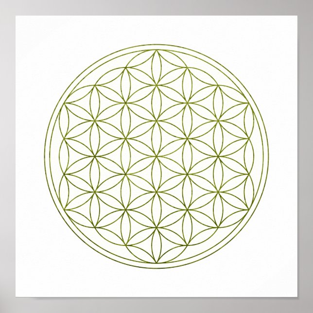 Póster Flor De Vida De Geometría Sagrada (V-Sprout) (Frente)