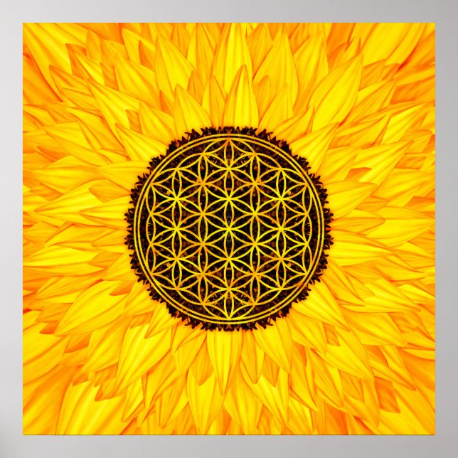Póster Flor de vida -girasol #1 (Frente)