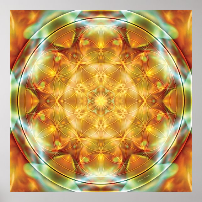 Póster Flor de vida Mandala 16 Poster (Frente)
