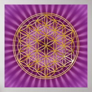 Póster Flor De Vida   oro, brillo magenta
