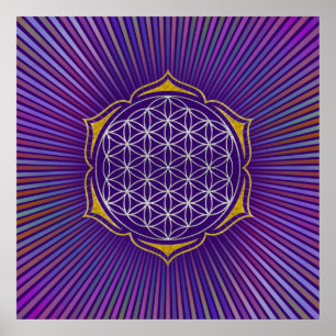 Póster Flor de vida - oro de plata de Lotus