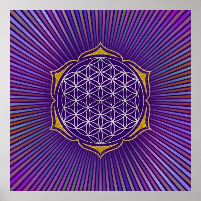 Póster Flor de vida - oro de plata de Lotus (Frente)