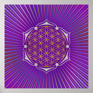 Póster Flor de vida - plata de oro de Lotus