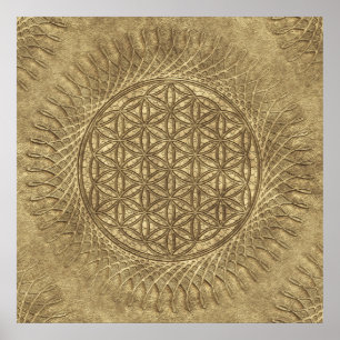 Póster Flor de vida - sol - patrón ininterrumpido 4