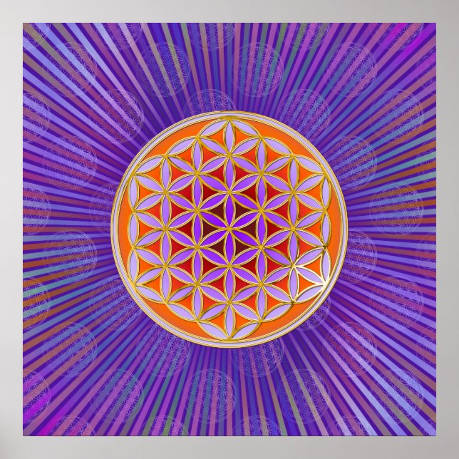 Póster Flor de vida - Violeta naranja estilo botón (Frente)