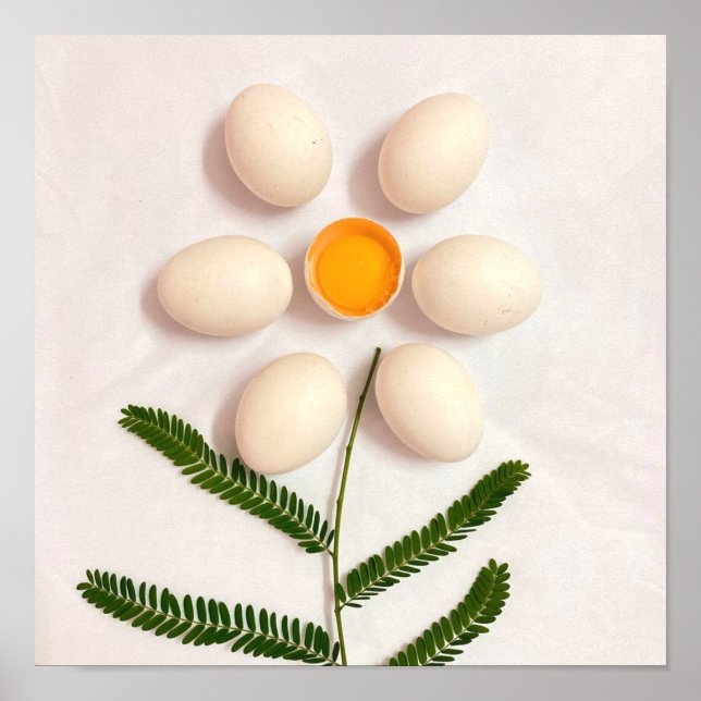Póster Flor de yema de huevo (Frente)
