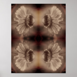 Póster Flor De Zinnia Daisy Suave En Sepia Vintage Resume