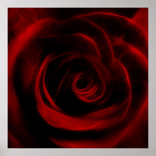 Póster Flor del fractal del rosa rojo