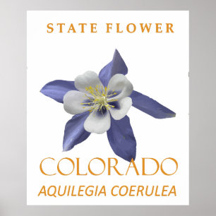 Póster Flor del Territorio de Colorado Aquilegia coerulea