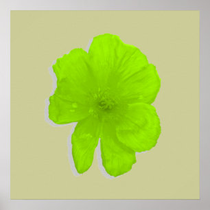 Póster Flor Eléctrica Lime/ PopArt