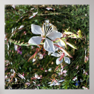Póster flor en círculo