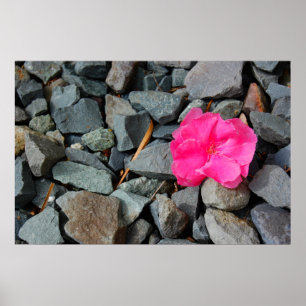 Póster "Flor en" el poster áspero