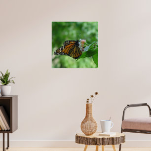 Póster Flor en la mariposa monarca