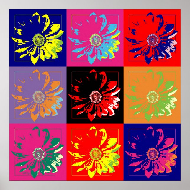 Póster Flor En La Pared (Frente)
