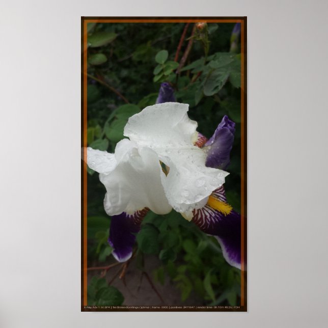 Póster Flor épica 1 (Frente)