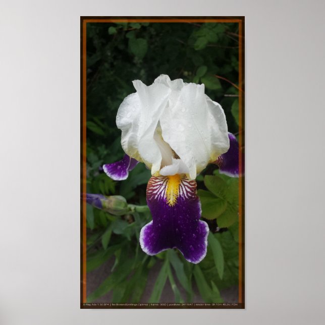 Póster Flor épica 3 (Frente)