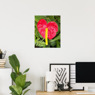 Póster Flor Fotográfico de Flor de Encaje Rojo