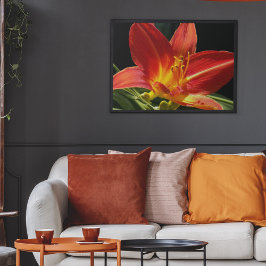 Póster Flor Fotográfico de Flor de Hemerocallis Naranja