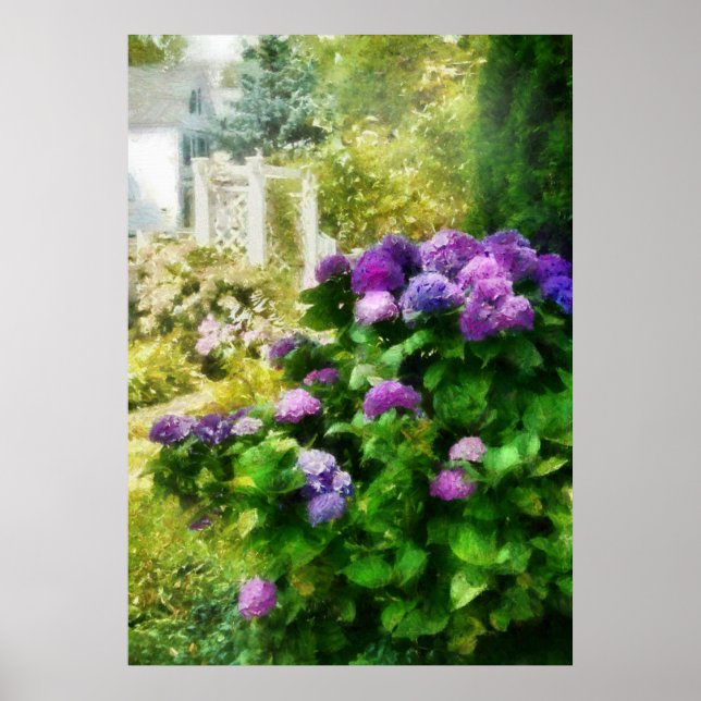 Póster Flor - Hermosa Hydrangea (Frente)