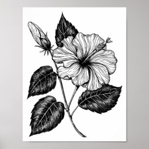 Póster Flor II de Hibiscus
