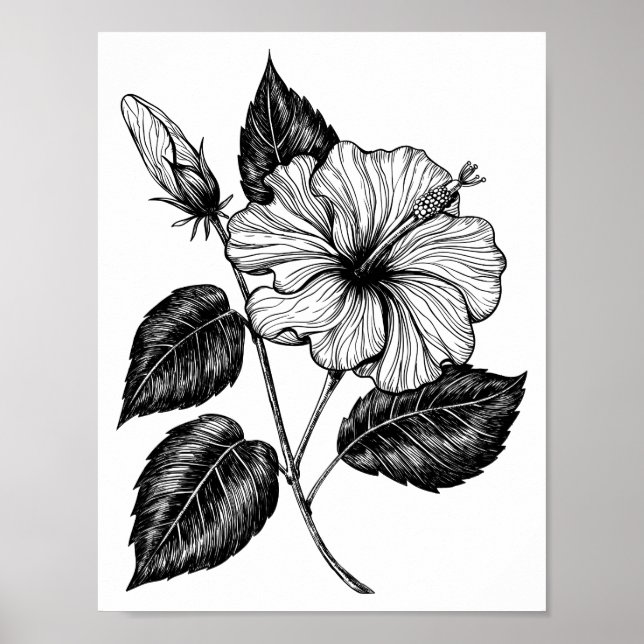 Póster Flor II de Hibiscus (Frente)