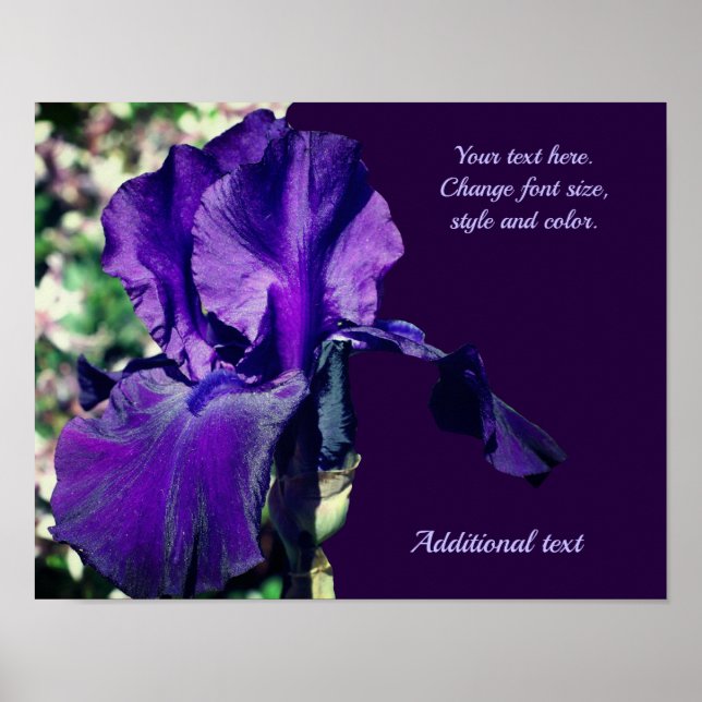 Póster Flor Iris Añadir tu texto personalizado (Frente)