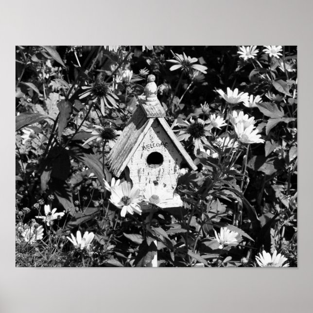 Póster Flor Jardín Casa De Aves Negro Y Blanco (Frente)