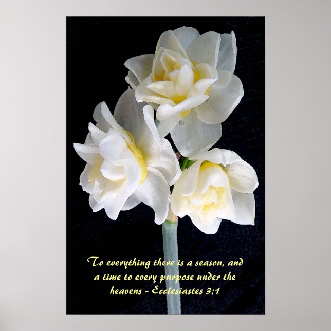 Póster Flor Jonquil - Ecclesiastes 3:1 (Frente)